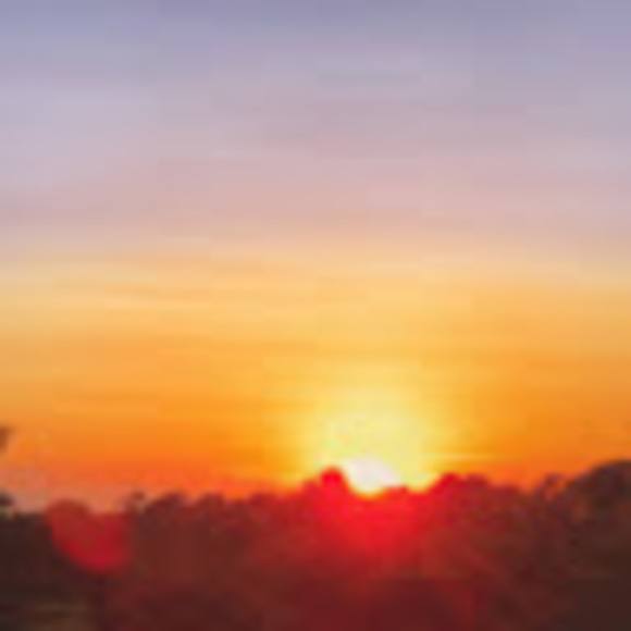 Meet your Posher, Jared - Picture 1 of 1